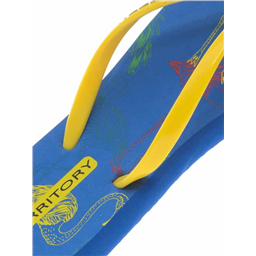 Сланцы женские